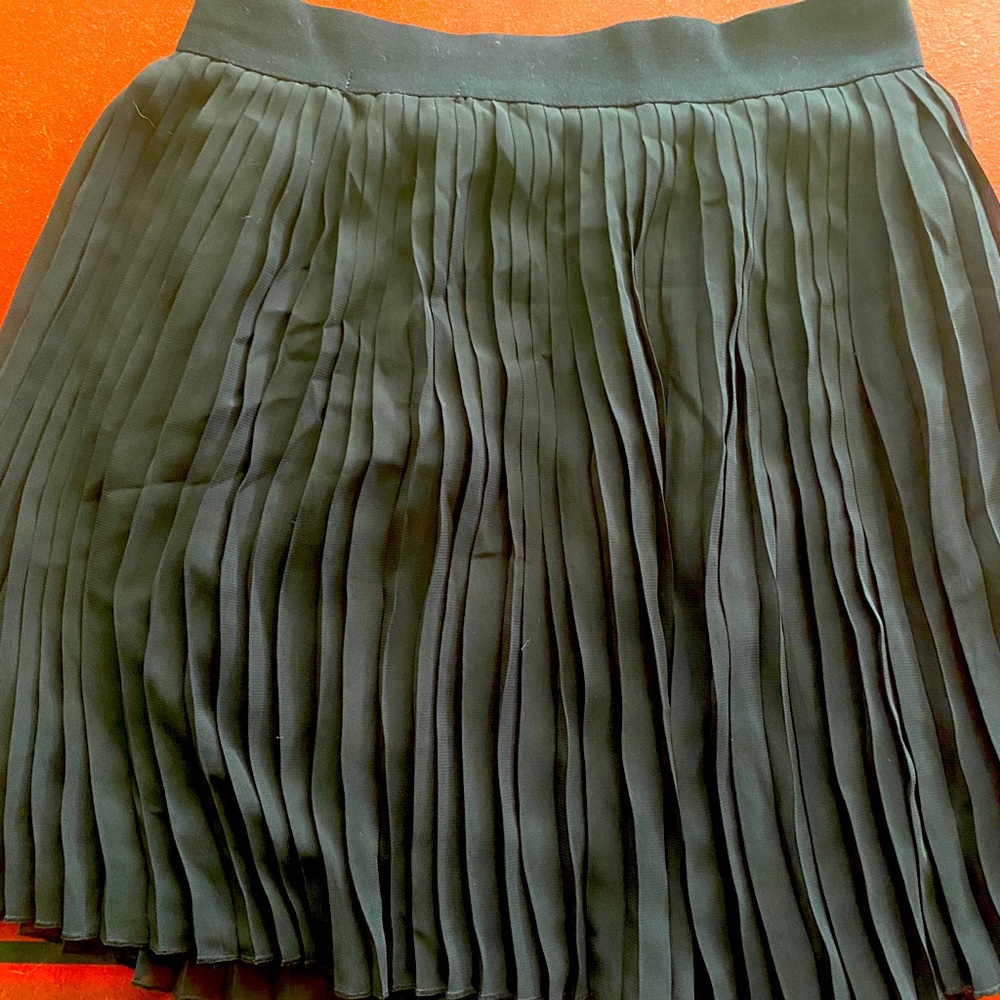 Black pleated skater skirt